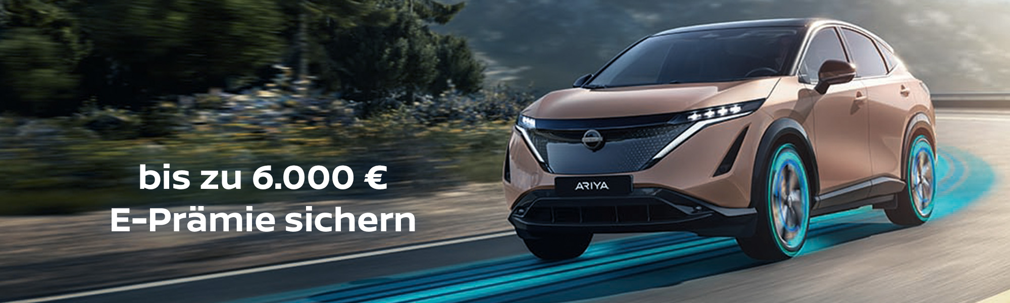 Nissan Ariya E-Prämie
